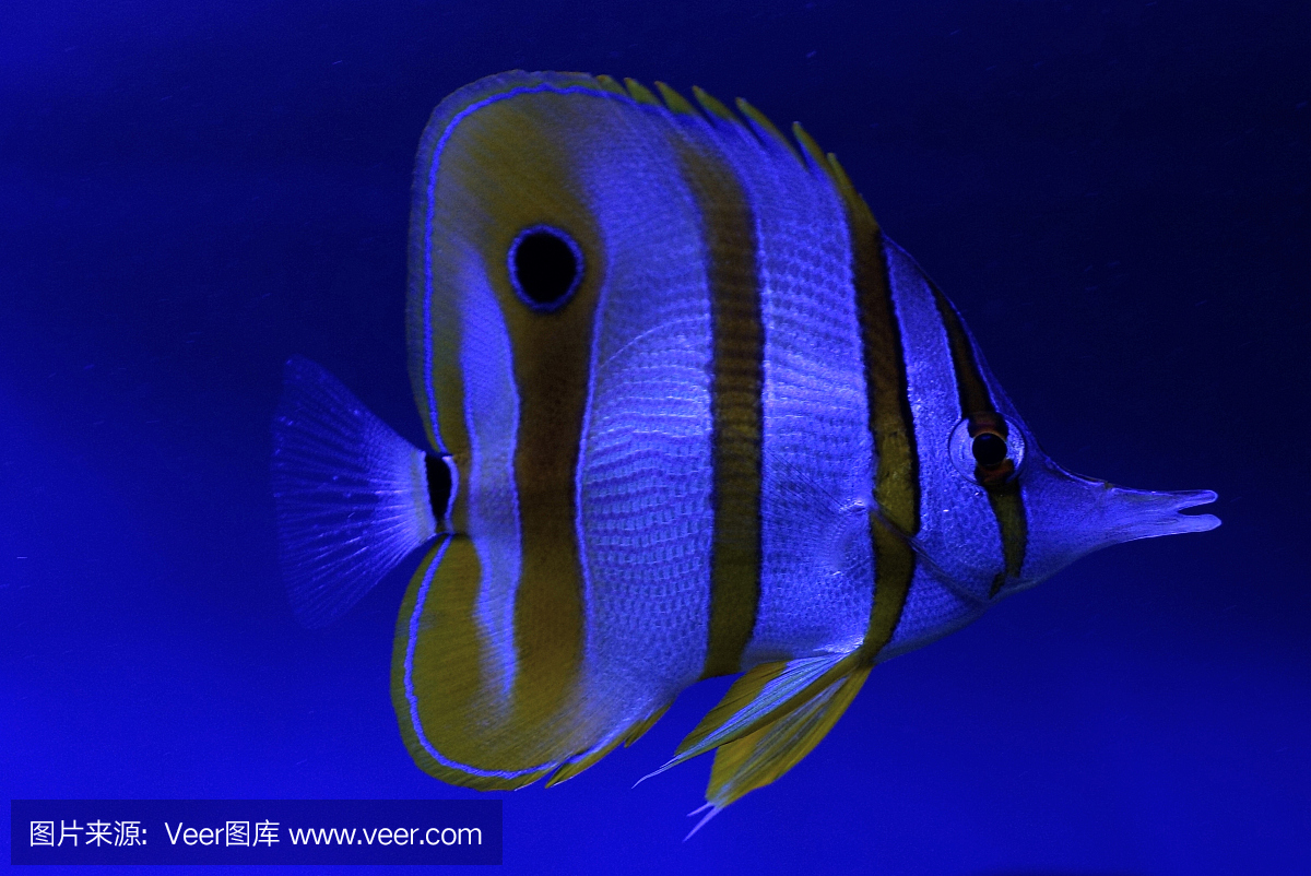 ˮͧǸ(j)ʲôl(f) ģİl(f)Щ