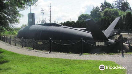 剛買的潛水艇魚注意事項(xiàng)