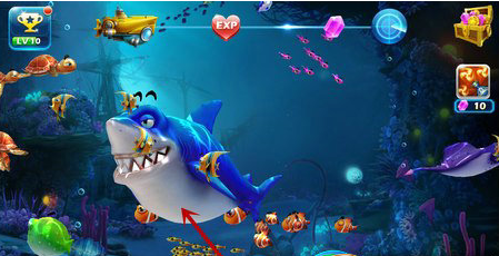 剛買的潛水艇魚注意事項(xiàng)