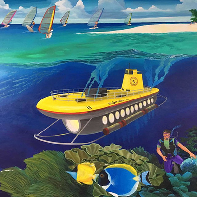 剛買的潛水艇魚注意事項(xiàng)