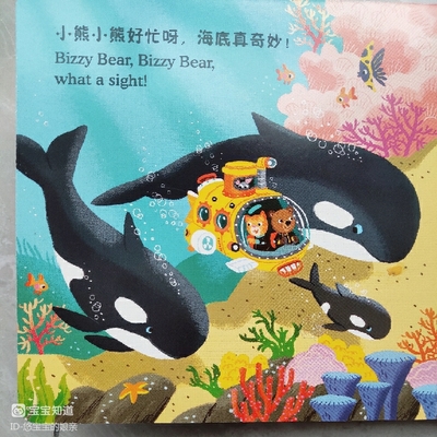 潛水艇小熊的是真的