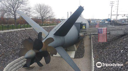 剛買的潛水艇魚注意事項(xiàng)