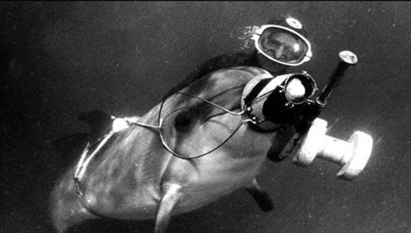 ñӿƝˮͧl(shu)(hu)