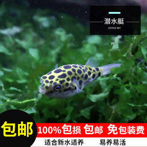 ˮͧ~(y)ôB(yng)? Сˮͧ~(y)ôB(yng)