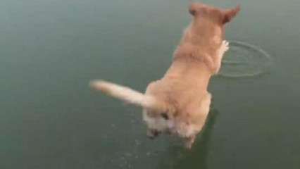 P(gun)һˮͧĄӮƬ XD(zhun)