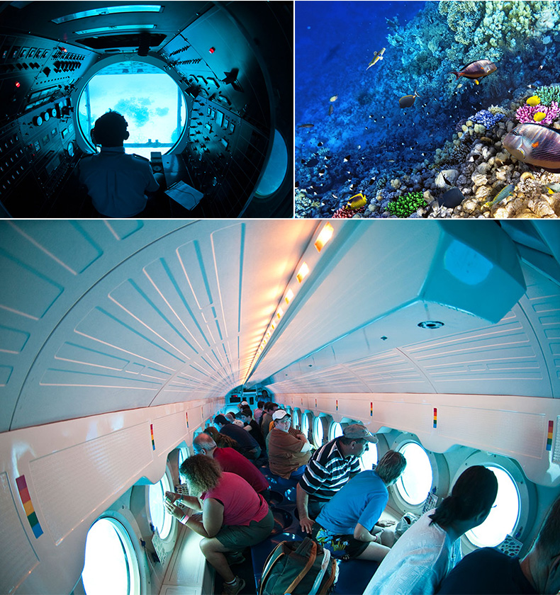 ˮͧӢ ˮϝˮͧL(zhng)ʲô