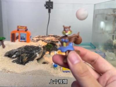 ʿˮͧ Aˮͧ(zhn)