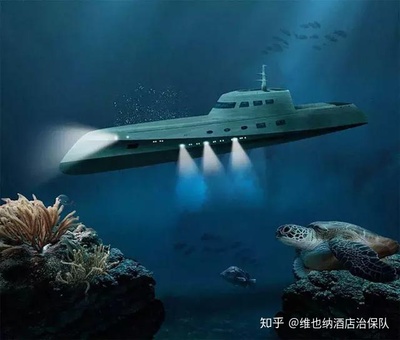 原生缸養(yǎng)潛水艇