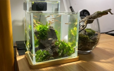 P(gun)ڝˮͧ{G}B(yng) ˮ͢