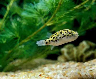 ˮͧ~ˮ B(yng)ˮͧ~ˮ{(dio)ˮ