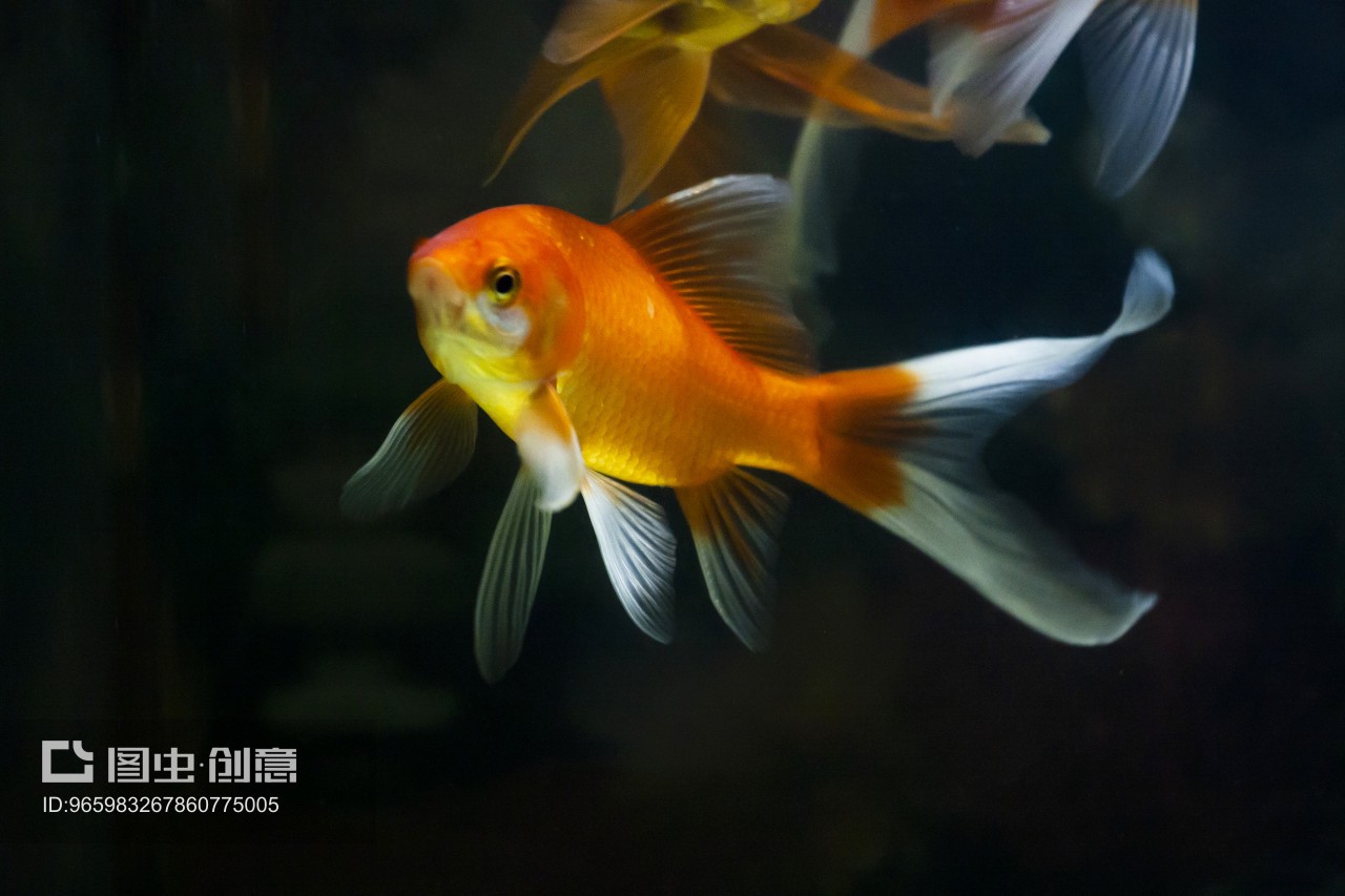 ~͝ˮͧʲô֮̎ ~͝ˮͧʲô³