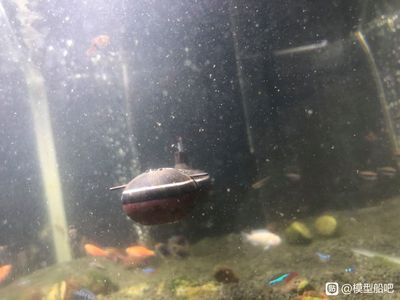 С~ˮͧôB(yng) С͝ˮͧ~