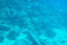 ˮͧ~(y)x~(y) Сˮͧ~(y)ιB(yng)?